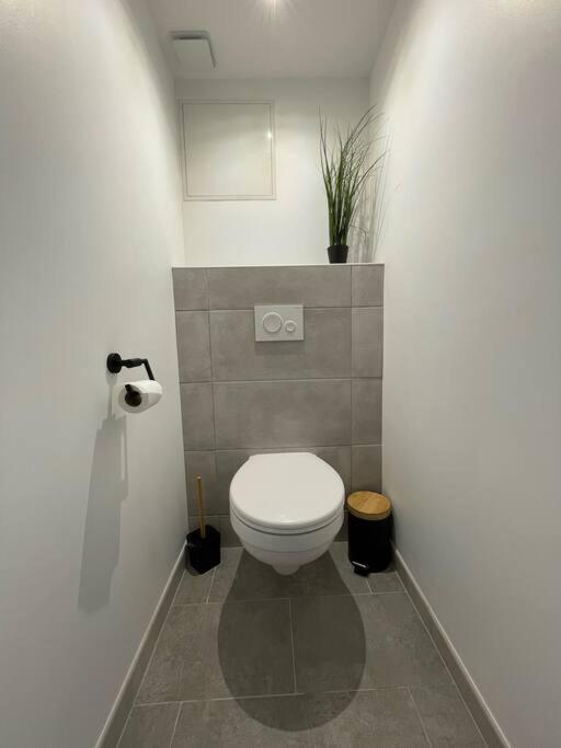 Logement Idealement Situe Sur La Voie Verte Celles-sur-Plaine Экстерьер фото